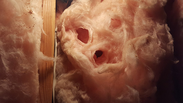 Close-up of pink fiberglass insulation in a home attic with visible holes.